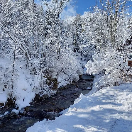 La Canopee Apartment Gresse-en-Vercors